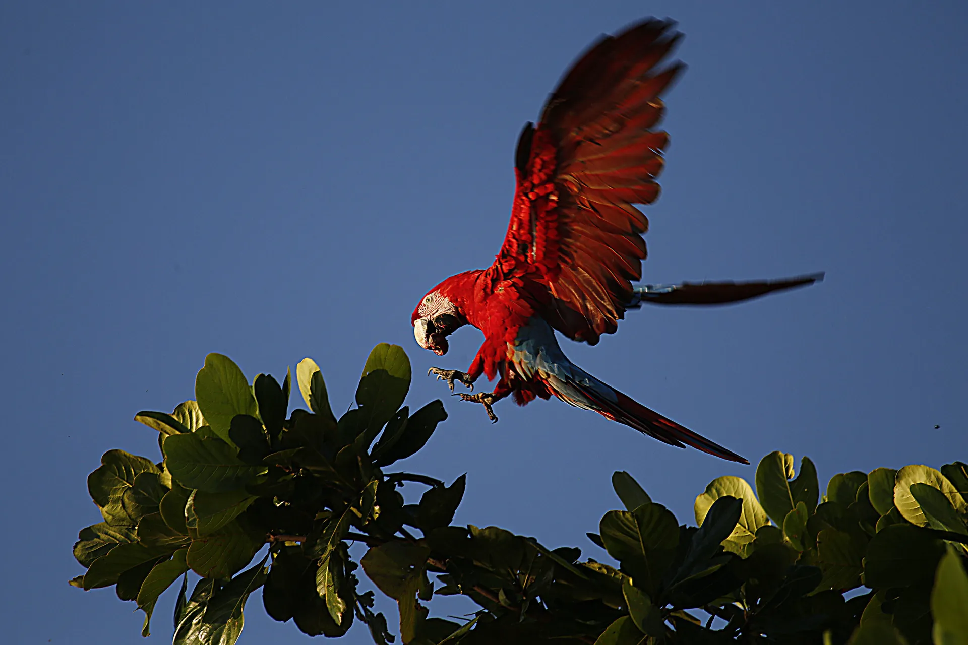 Paraná: Excelência, sofisticação e novos roteiros